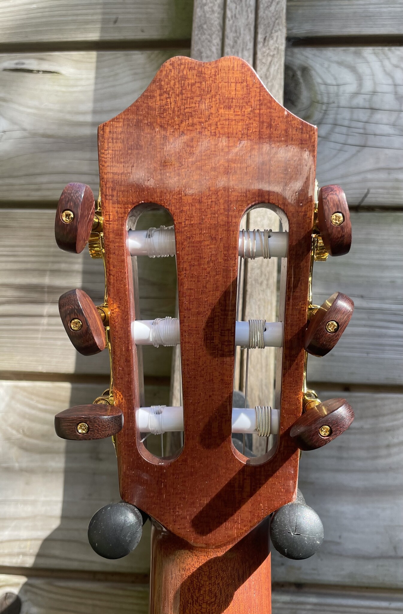 Juan Salvador Juan Salvador 1T Thinline Hybrid