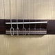 Juan Salvador Juan Salvador 1T Thinline Hybrid