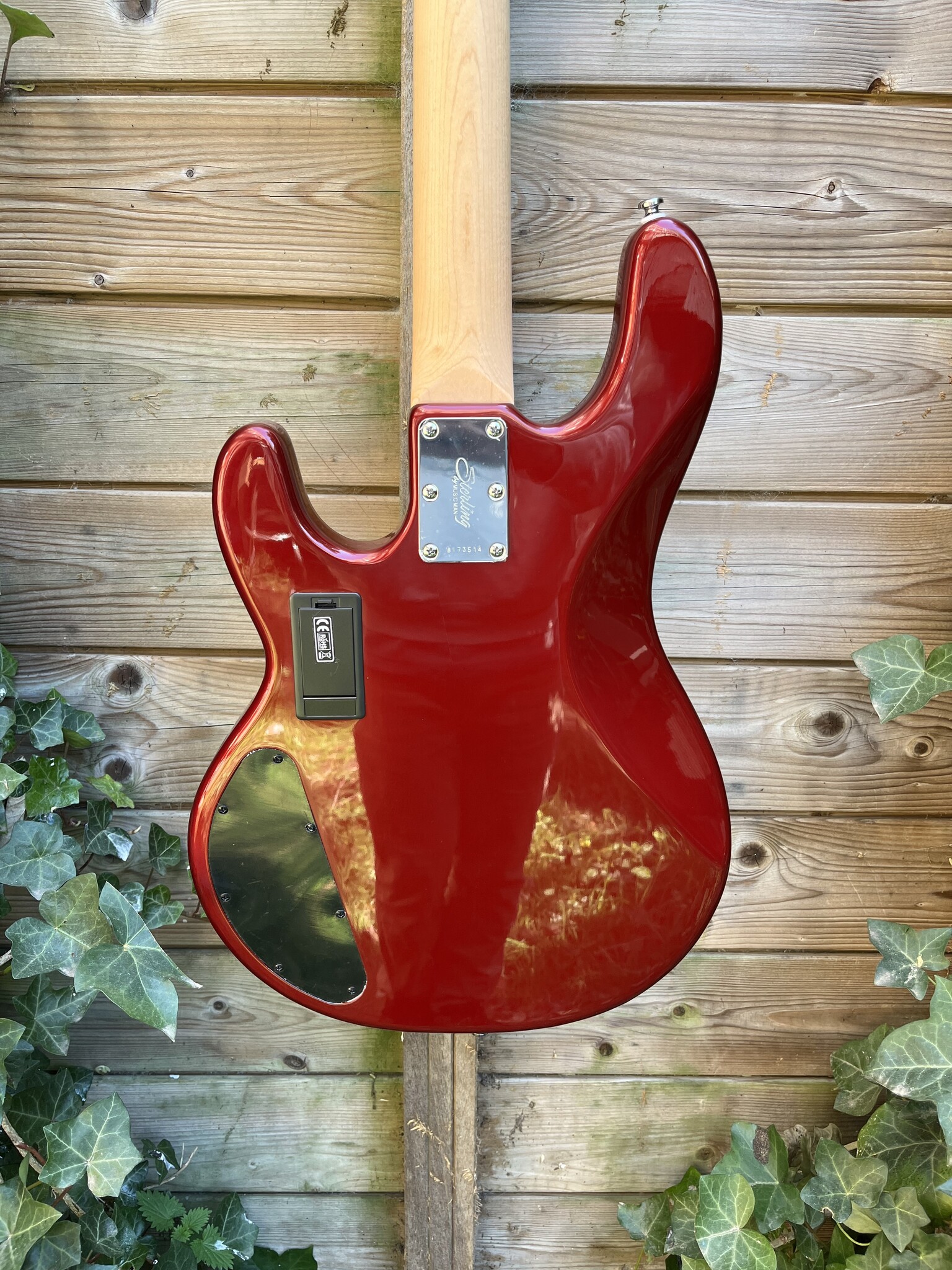 Sterling by Music Man Sterling Music Man StingRay 4 HH Candy Apple Red