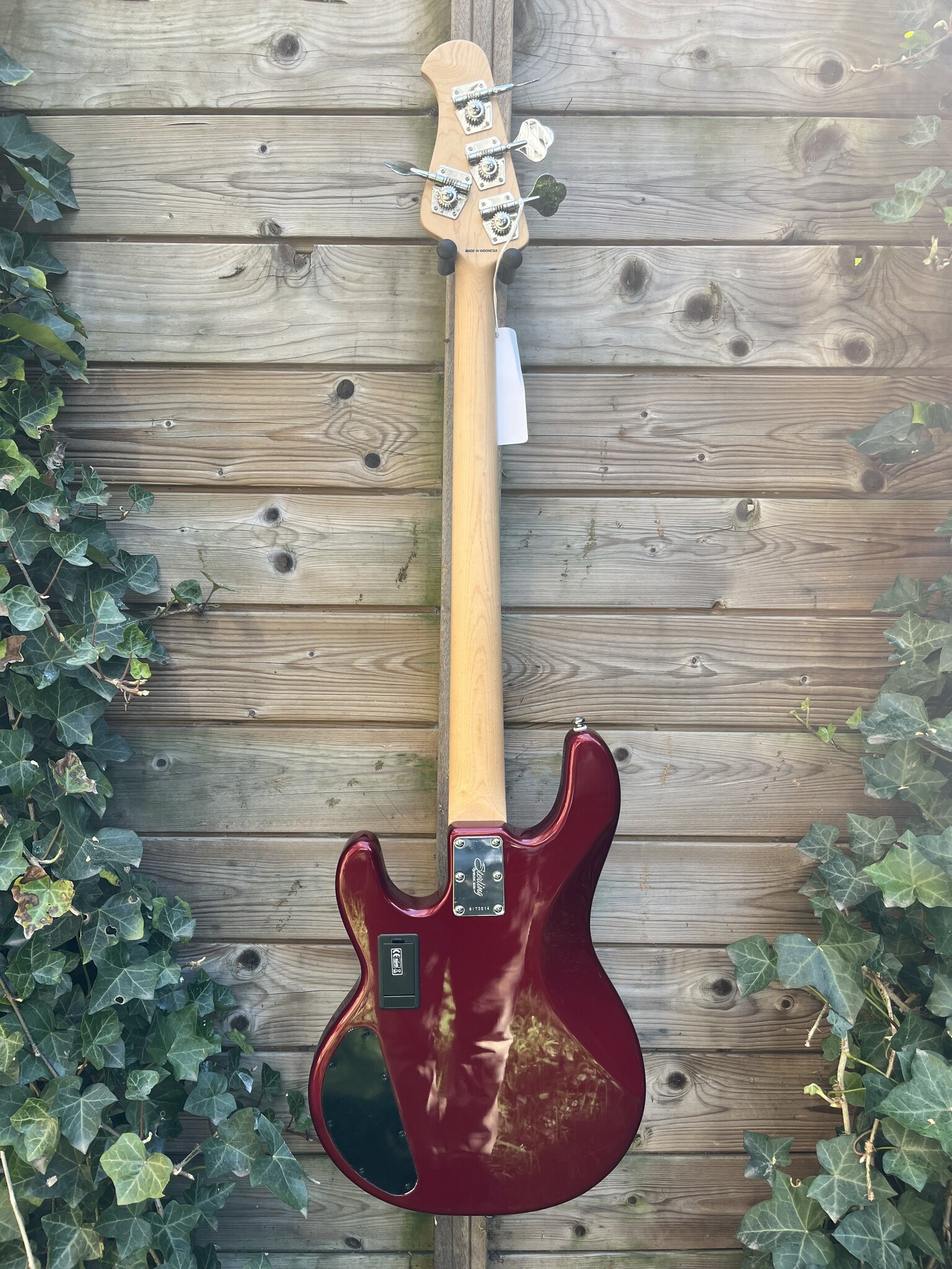 Sterling by Music Man Sterling Music Man StingRay 4 HH Candy Apple Red