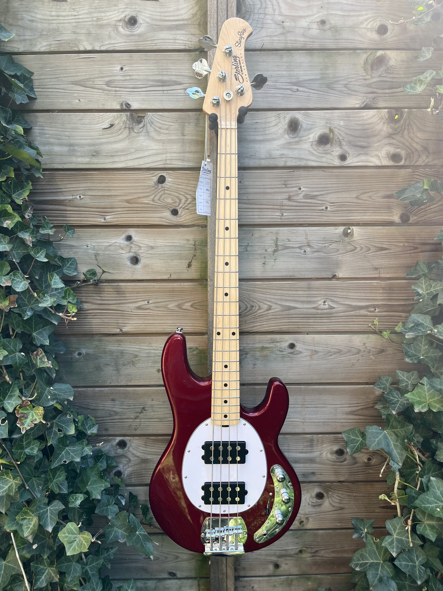 Sterling by Music Man Sterling Music Man StingRay 4 HH Candy Apple Red