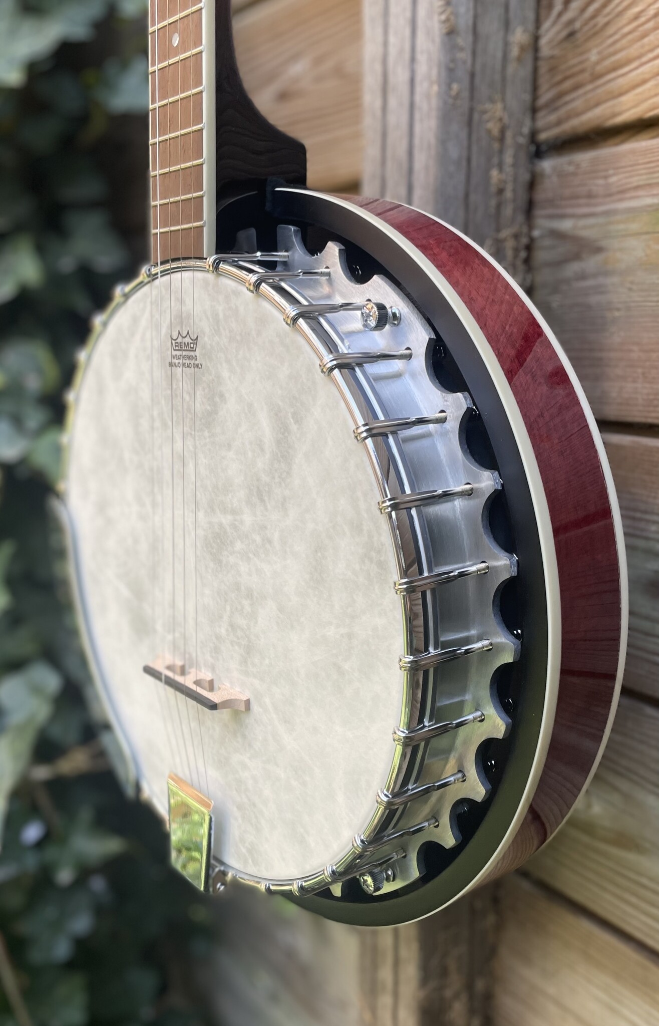 Barnes & Mullins Barnes & Mullins London W. 'Perfect' 5-String Banjo BJ300