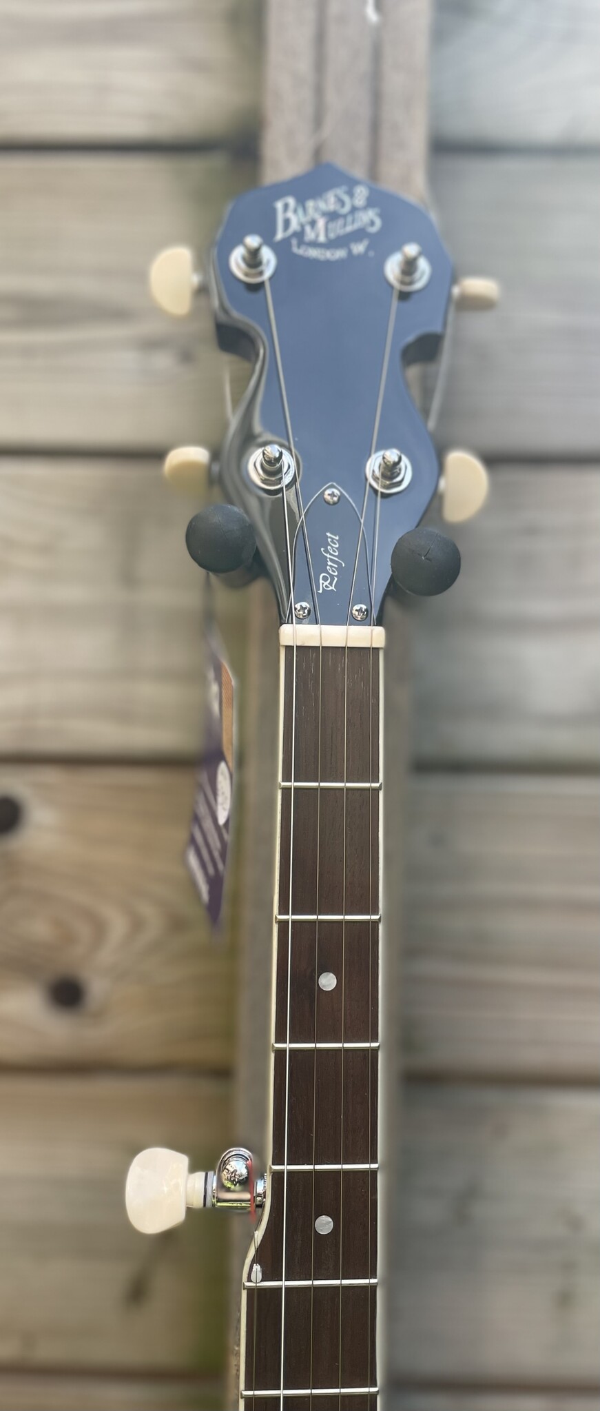 Barnes & Mullins Barnes & Mullins London W. 'Perfect' 5-String Banjo BJ300