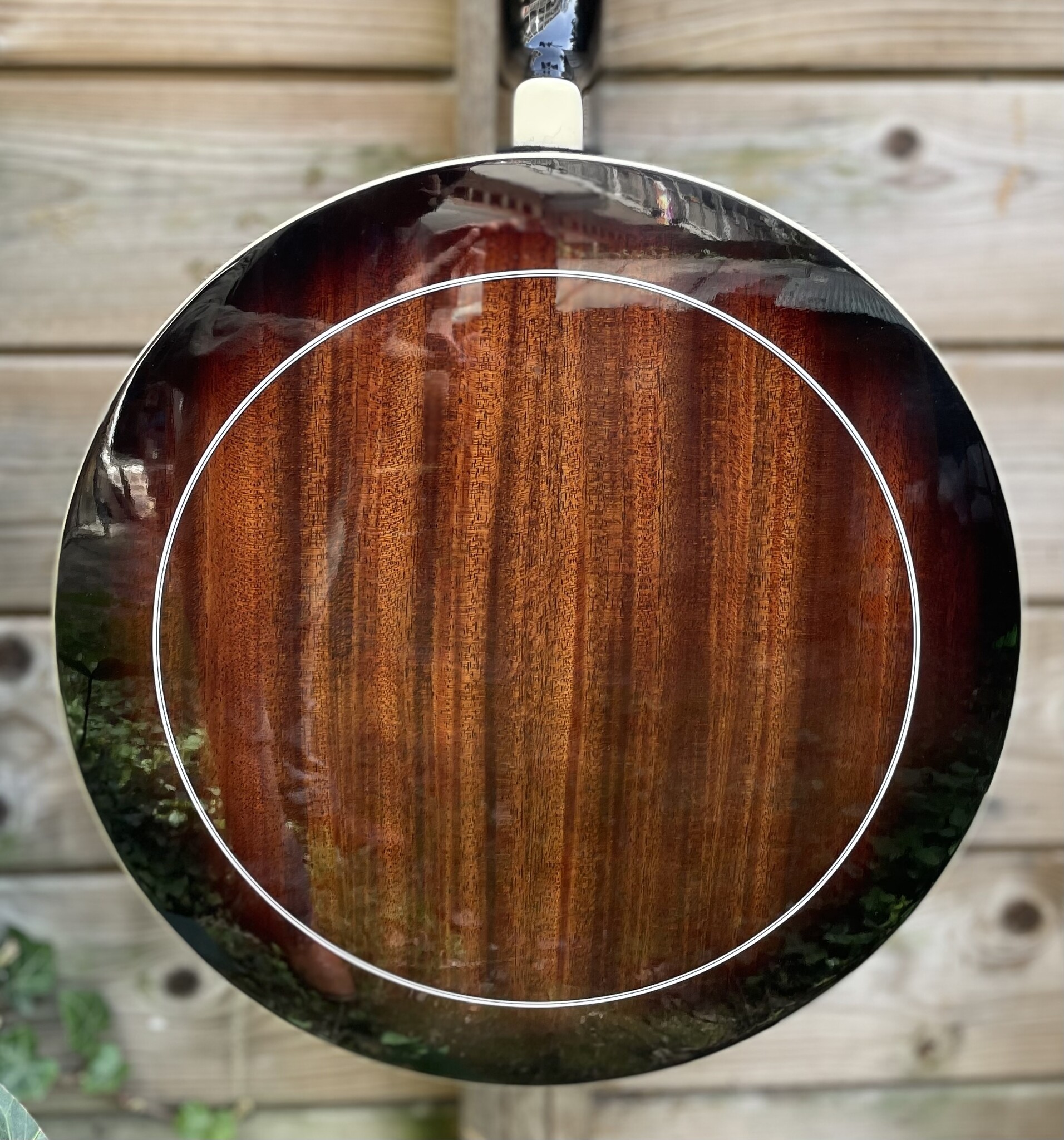 Barnes & Mullins Barnes & Mullins London W. 'Rathbone' 5-String Electro Banjo BJ400E