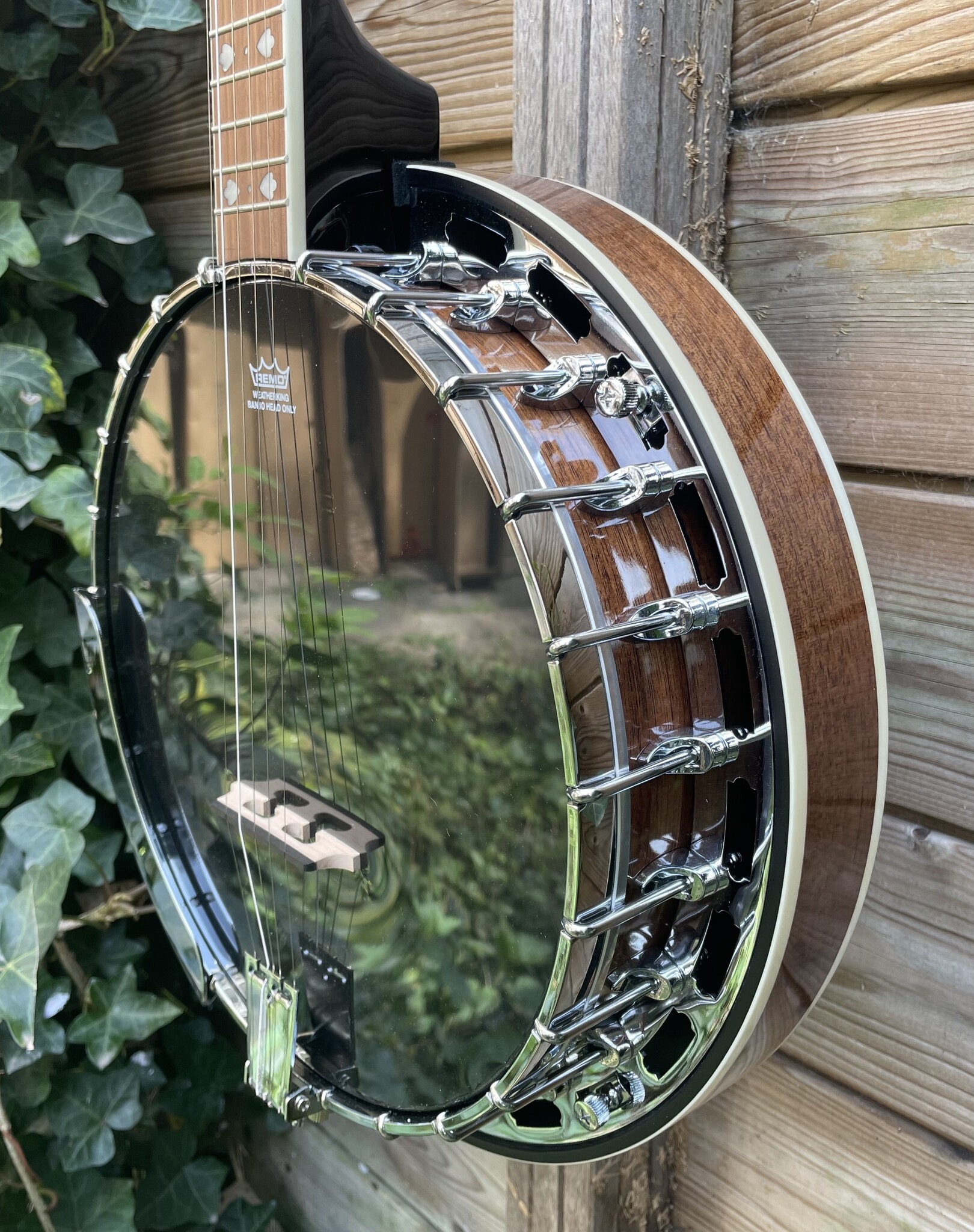 Barnes & Mullins Barnes & Mullins London W. 'Rathbone' 5-String Electro Banjo BJ400E