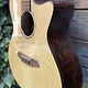 Rathbone Rathbone R3SBCE12-String Grand Auditorium