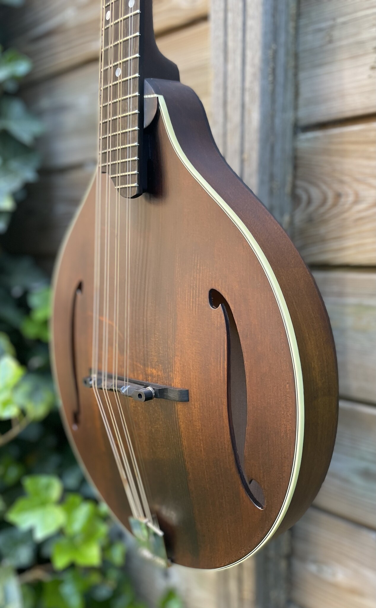 Eastman Eastman MDO305 Octave Mandolin A-style