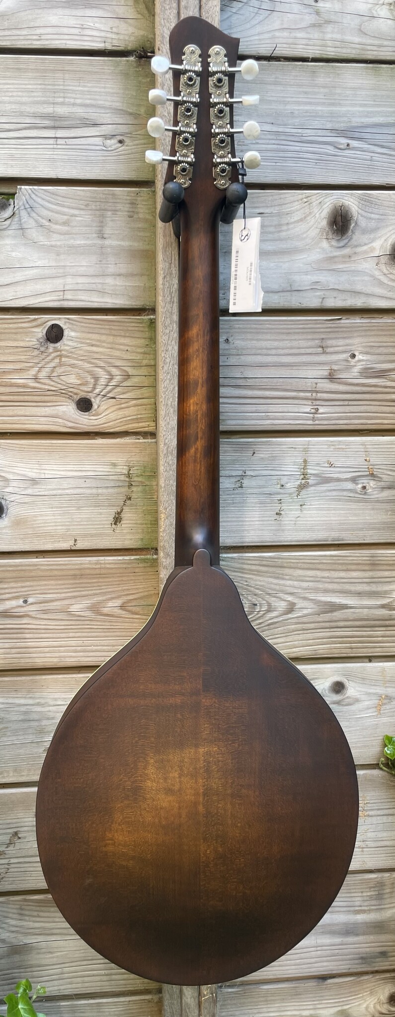 Eastman Eastman MDO305 Octave Mandolin A-style