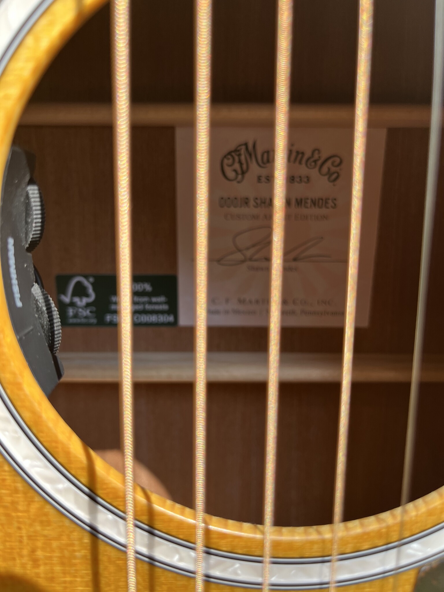 C. F. Martin & Co. Martin 000Jr-10 Shawn Mendes