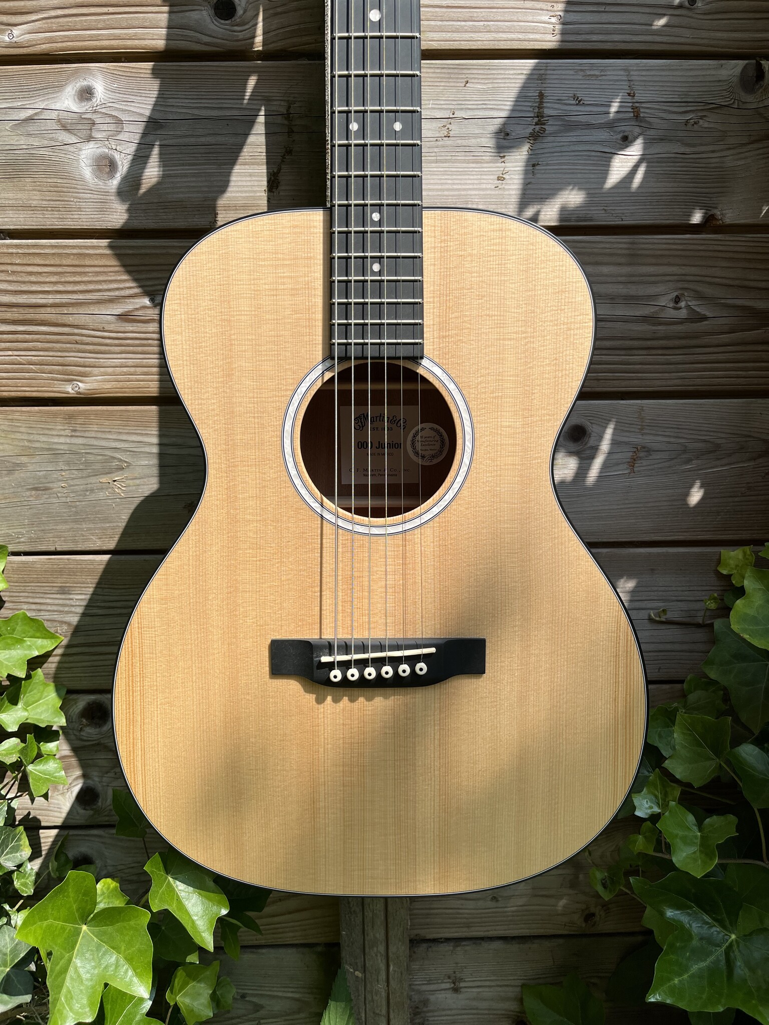 C. F. Martin & Co. Martin 000Jr-10