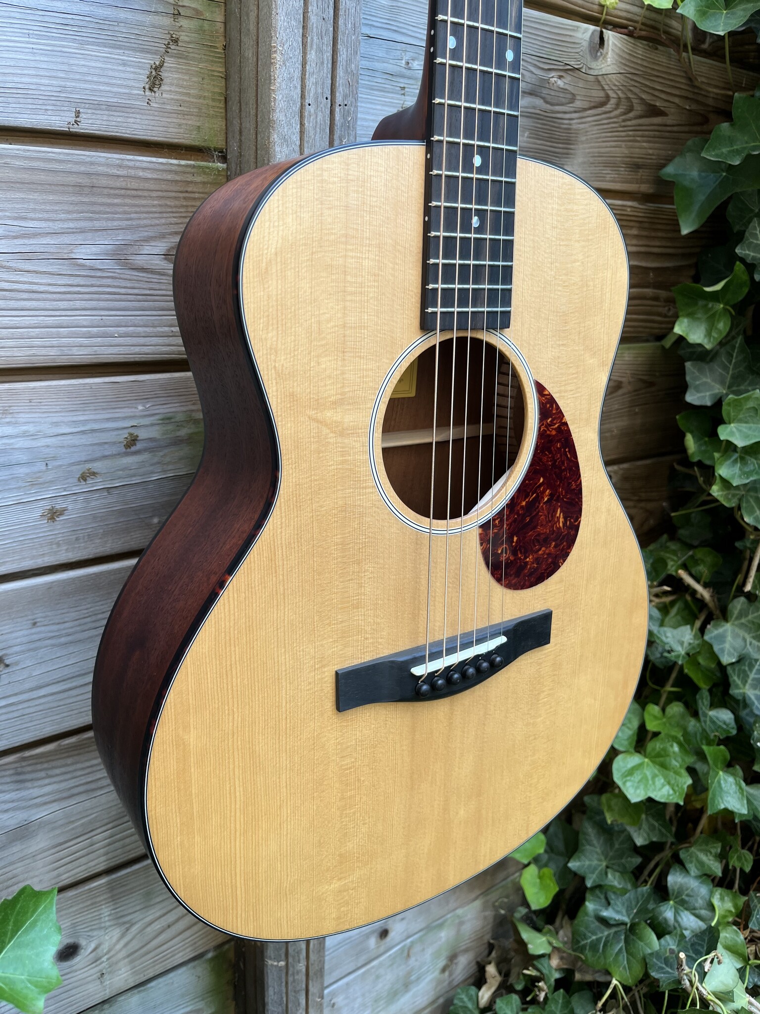 Eastman Eastman ACTG-1 All Solid Travel Guitar w/gigbag