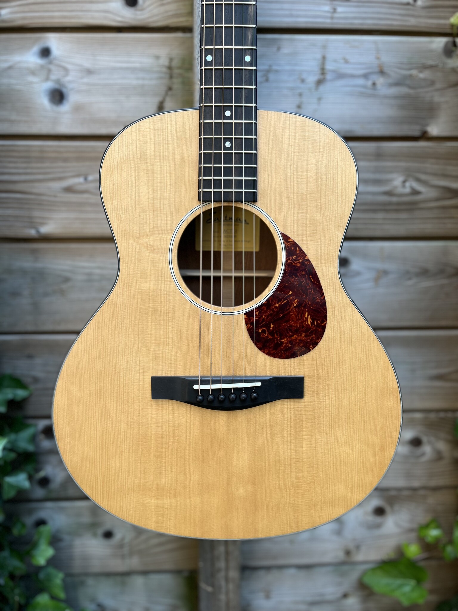 Eastman Eastman ACTG-1 All Solid Travel Guitar w/gigbag
