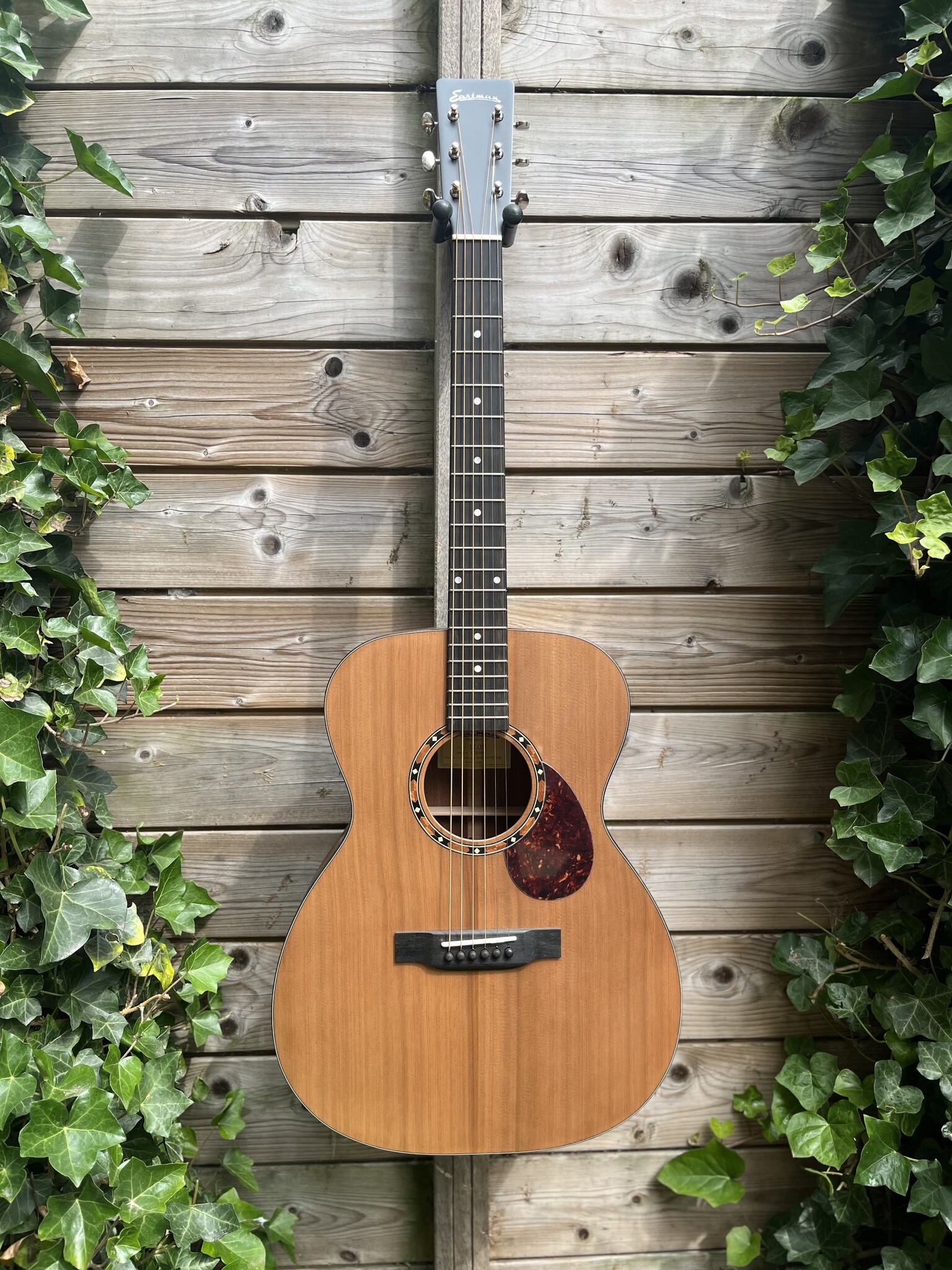 Eastman Eastman E2 OM