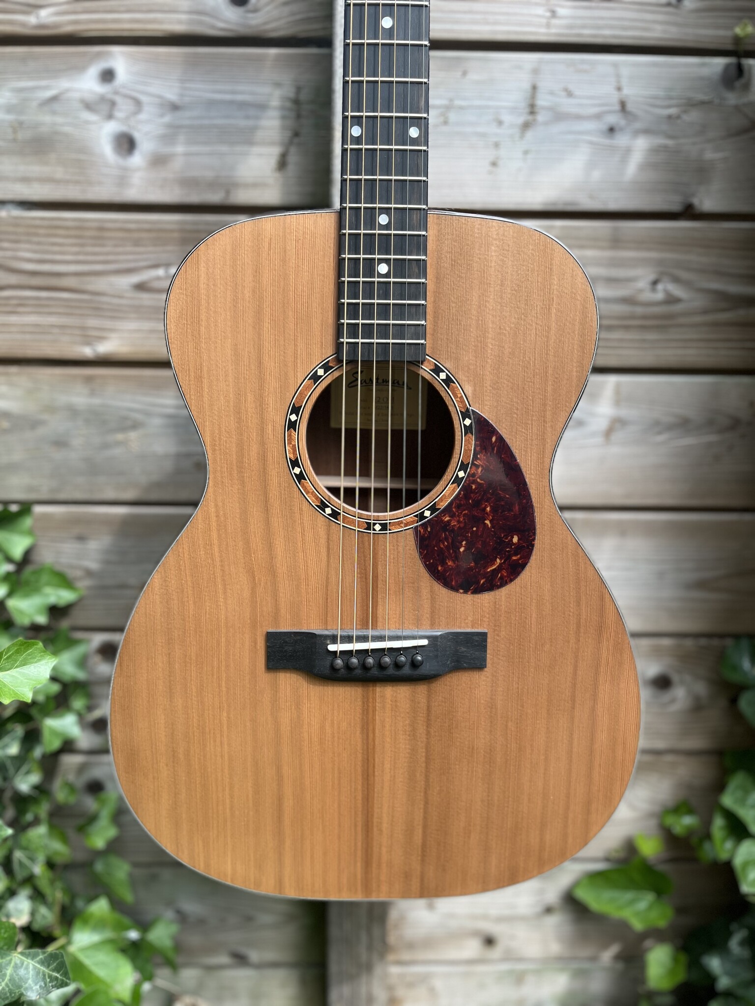 Eastman Eastman E2 OM