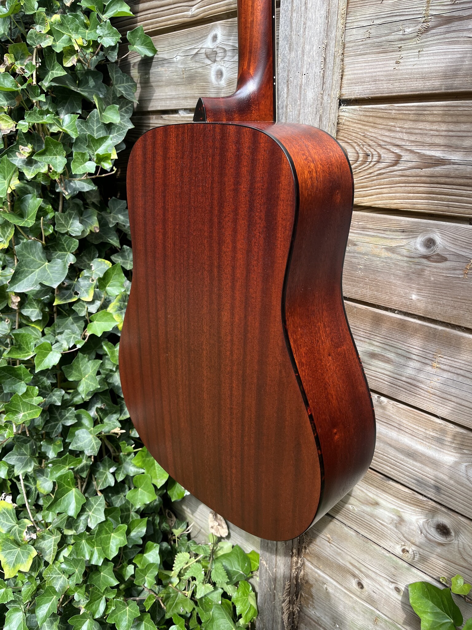Eastman Eastman E2D