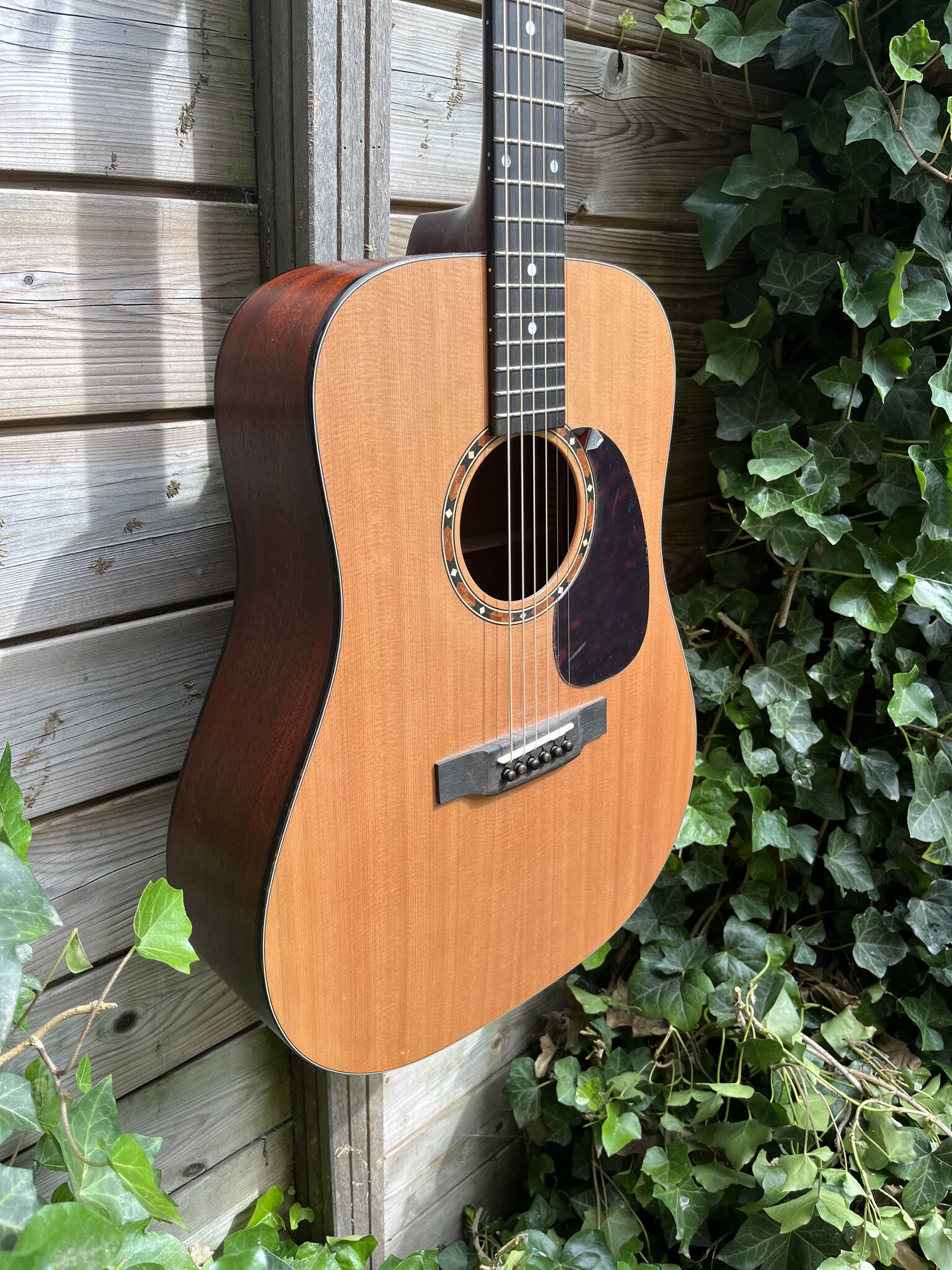 Eastman Eastman E2D