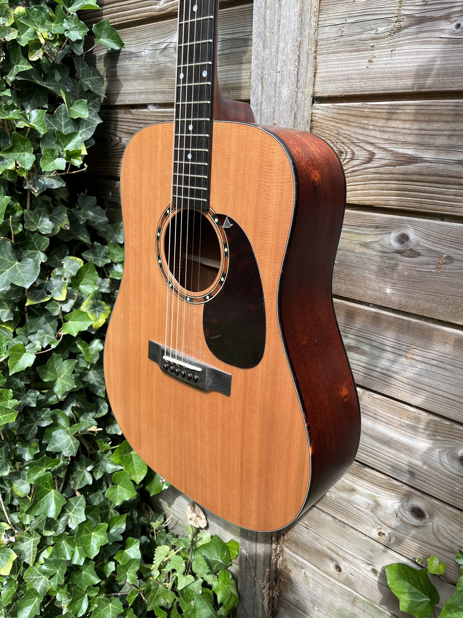 Eastman Eastman E2D