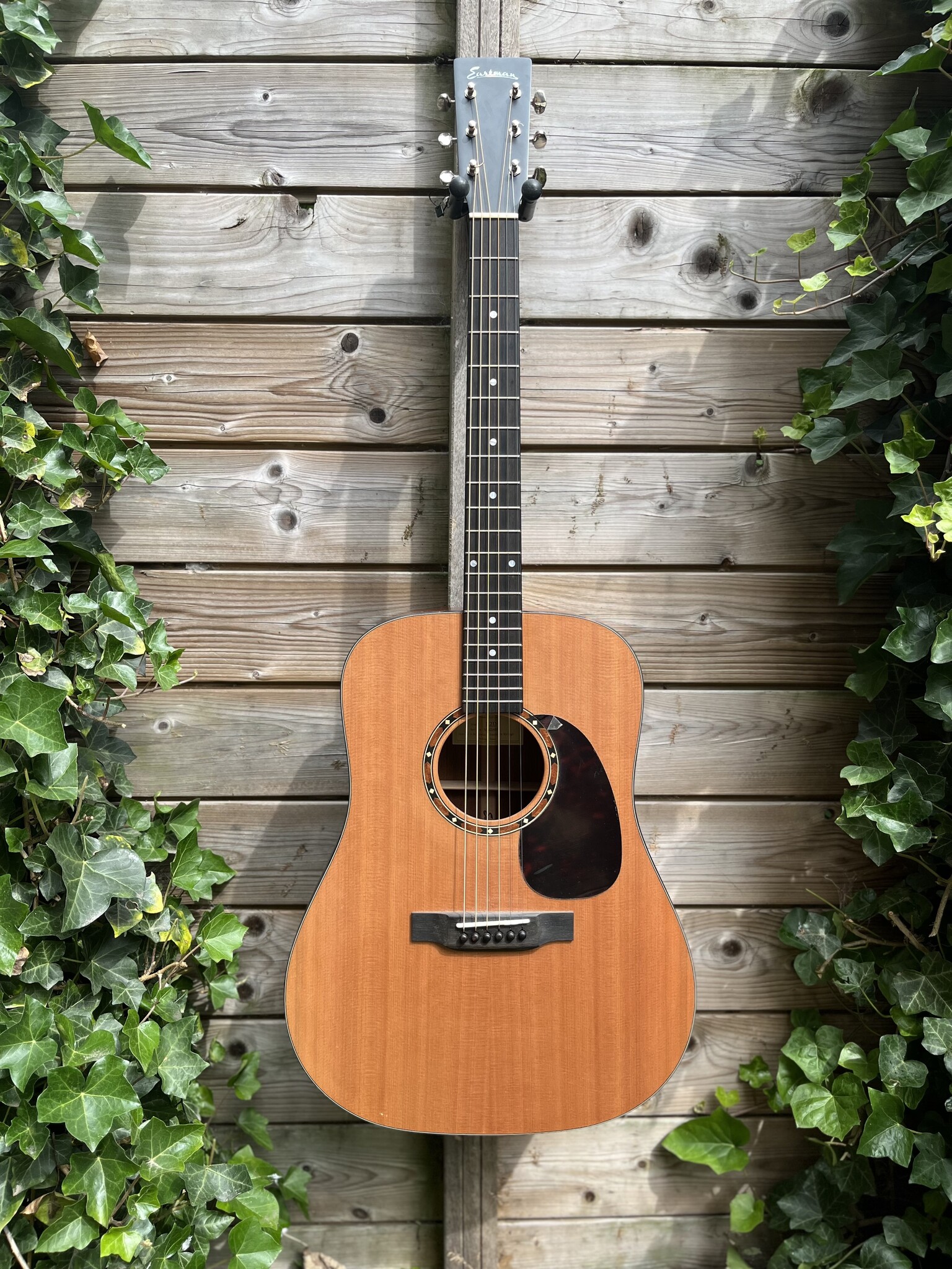 Eastman Eastman E2D