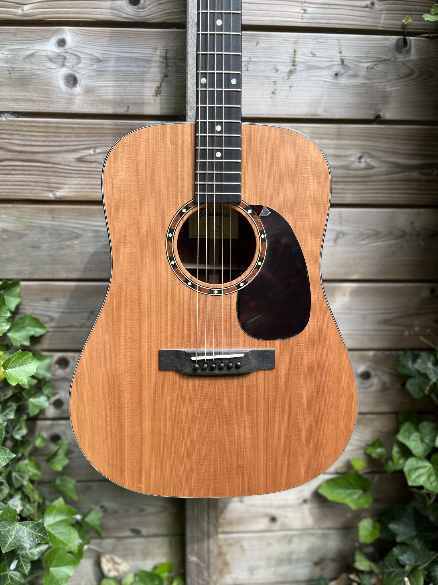 Eastman Eastman E2D