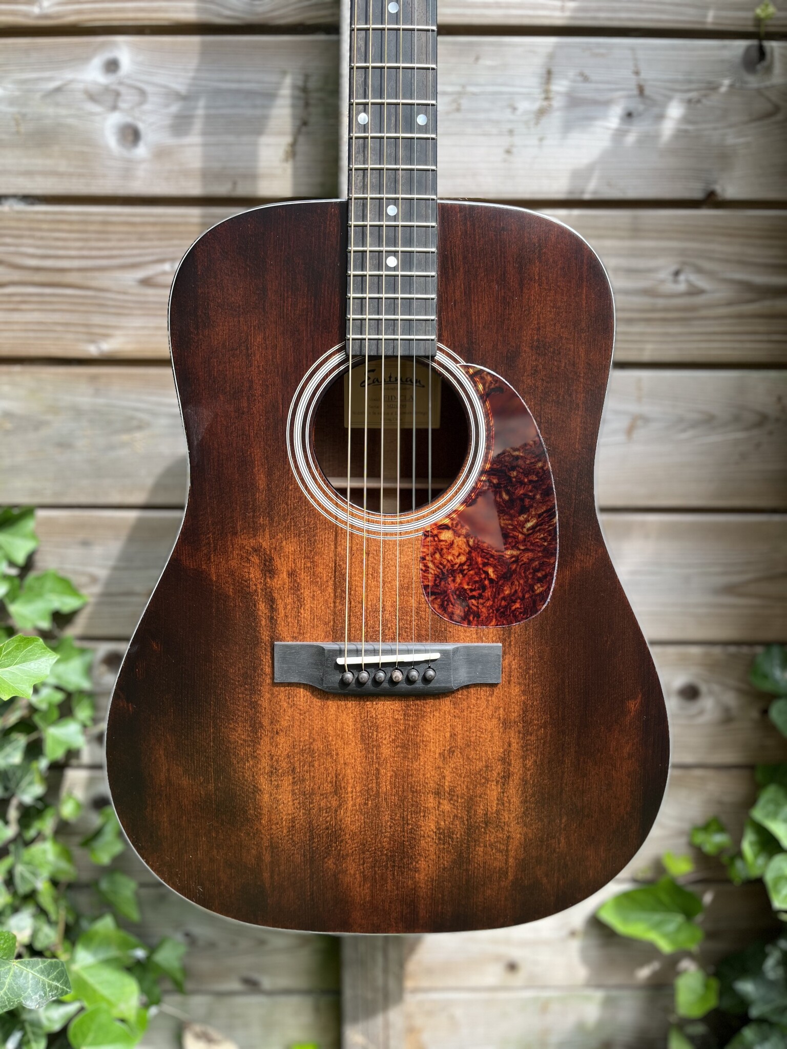 Eastman Eastman E1D Classic