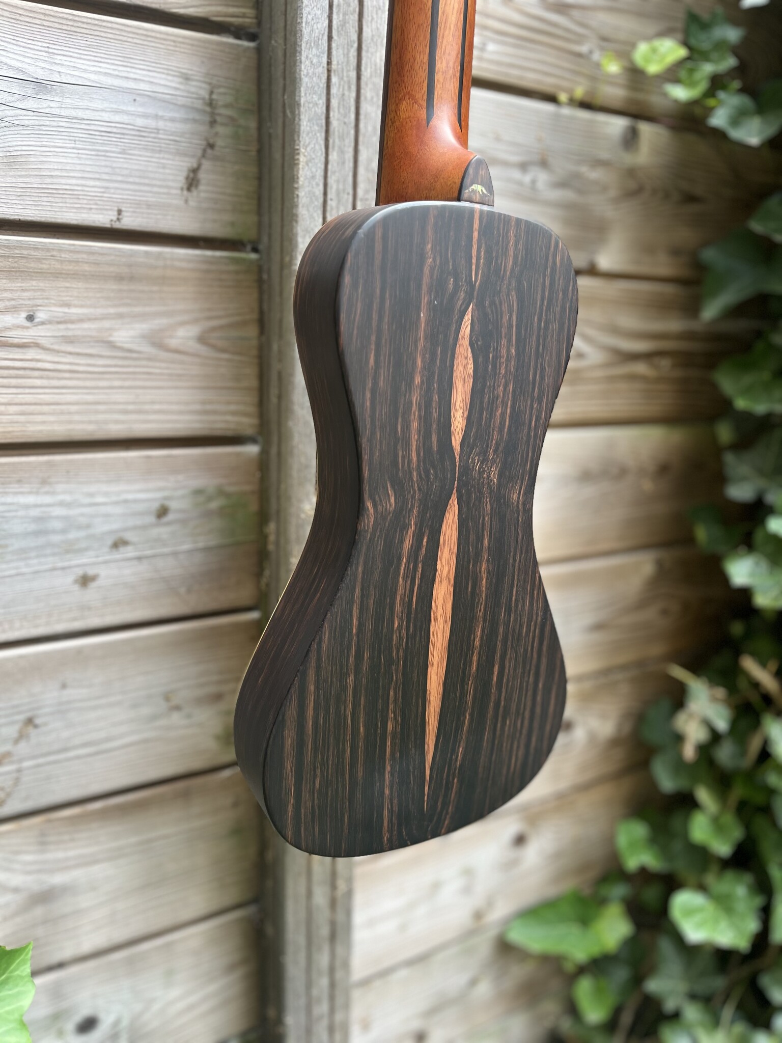 Bromo Bromo Rocky Mountain Series BAR3E Traveller Guitar