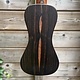 Bromo Bromo Rocky Mountain Series BAR3E Traveller Guitar