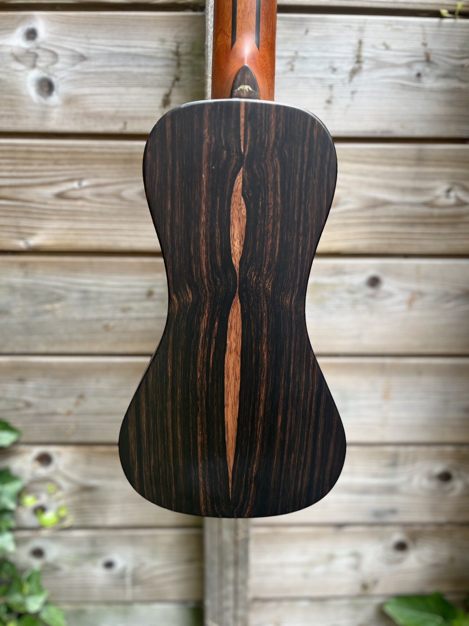 Bromo Bromo Rocky Mountain Series BAR3E Traveller Guitar