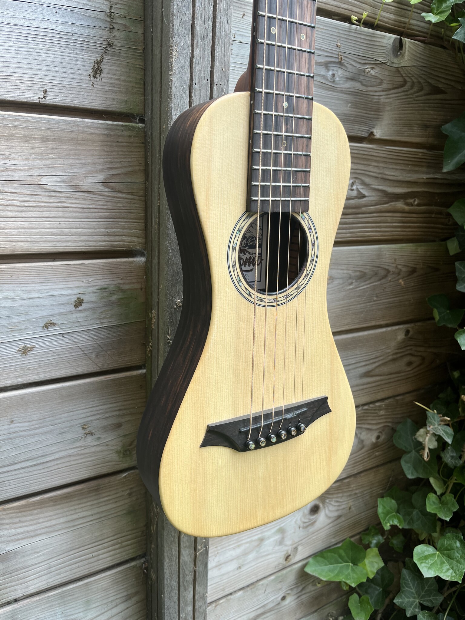 Bromo Bromo Rocky Mountain Series BAR3E Traveller Guitar