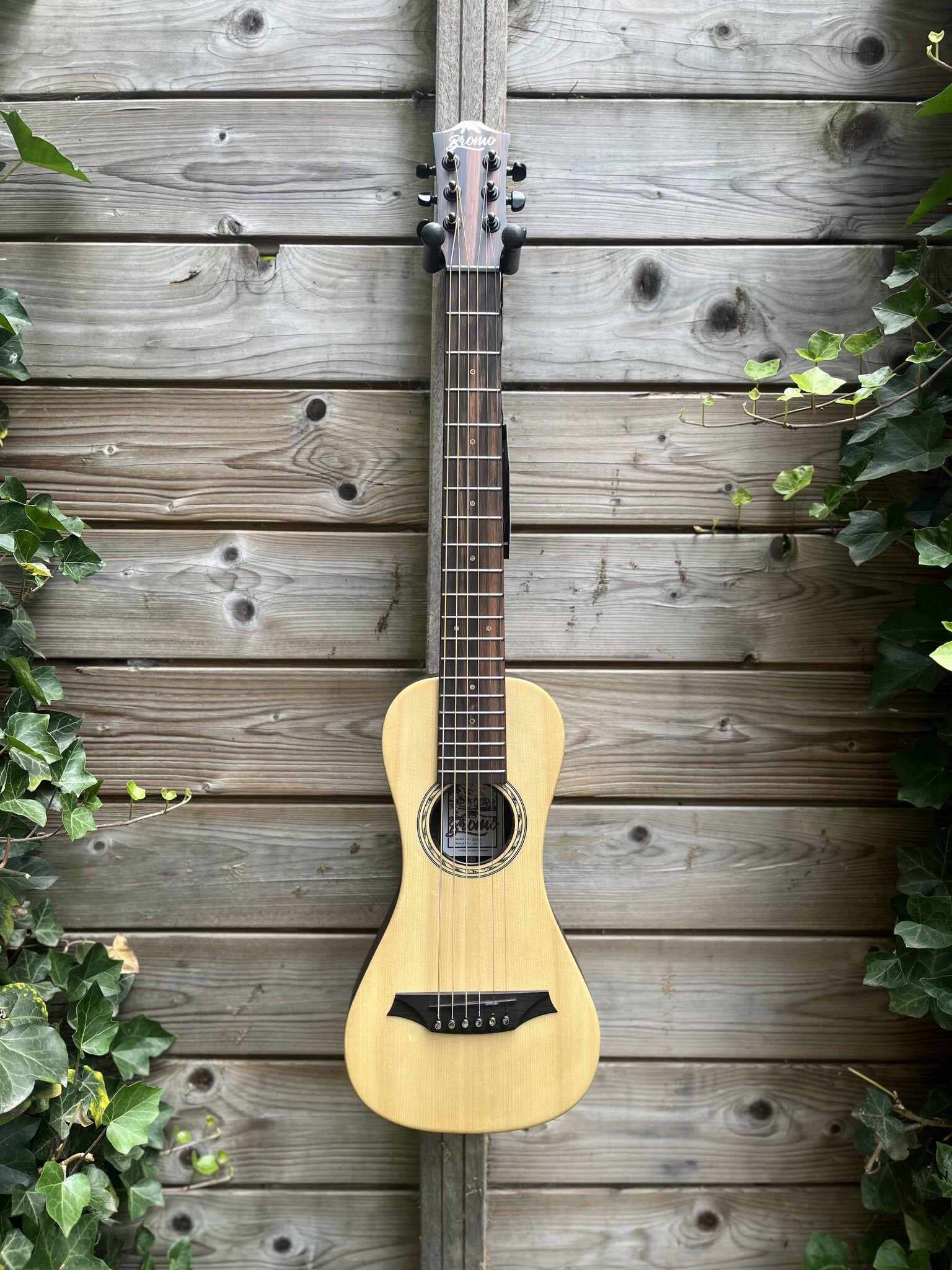 Bromo Bromo Rocky Mountain Series BAR3E Traveller Guitar