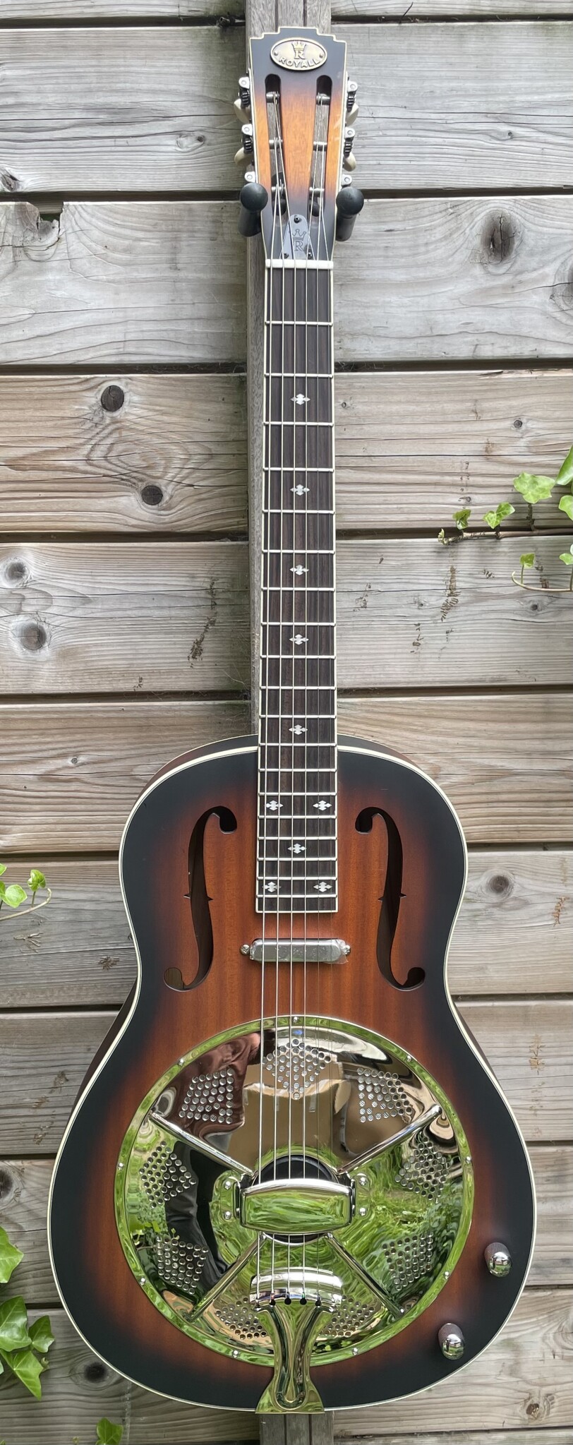 Royall Royall Single Spider Cone 12-Fret Resonator Hobo Sunburst w/PU HB12SC/SB