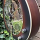 Royall Royall Single Spider Cone 12-Fret Resonator Hobo Sunburst w/PU HB12SC/SB