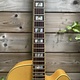 Ibanez Ibanez PM20 Pat Metheny Natural