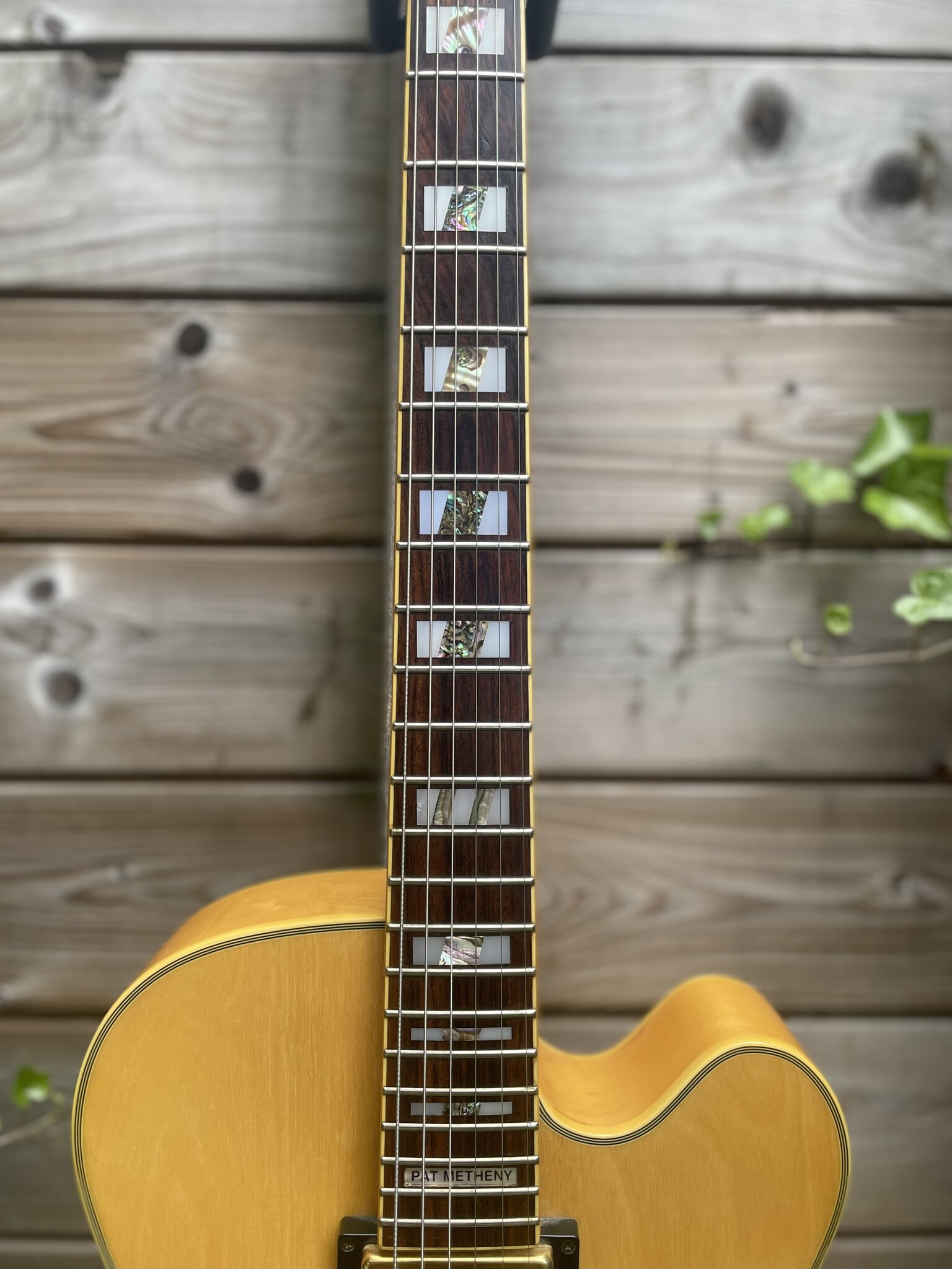 Ibanez Ibanez PM20 Pat Metheny Natural