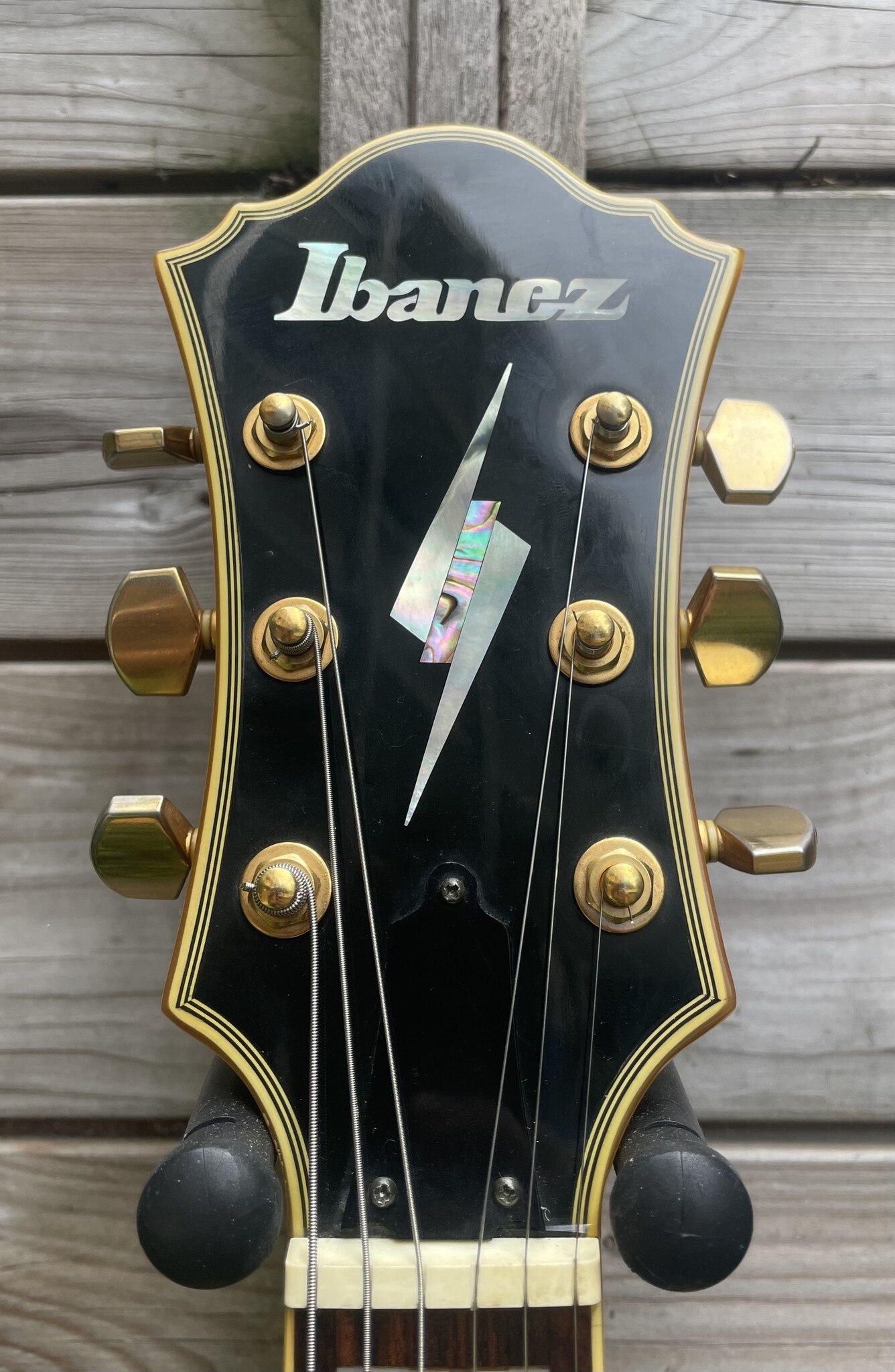 Ibanez Ibanez PM20 Pat Metheny Natural