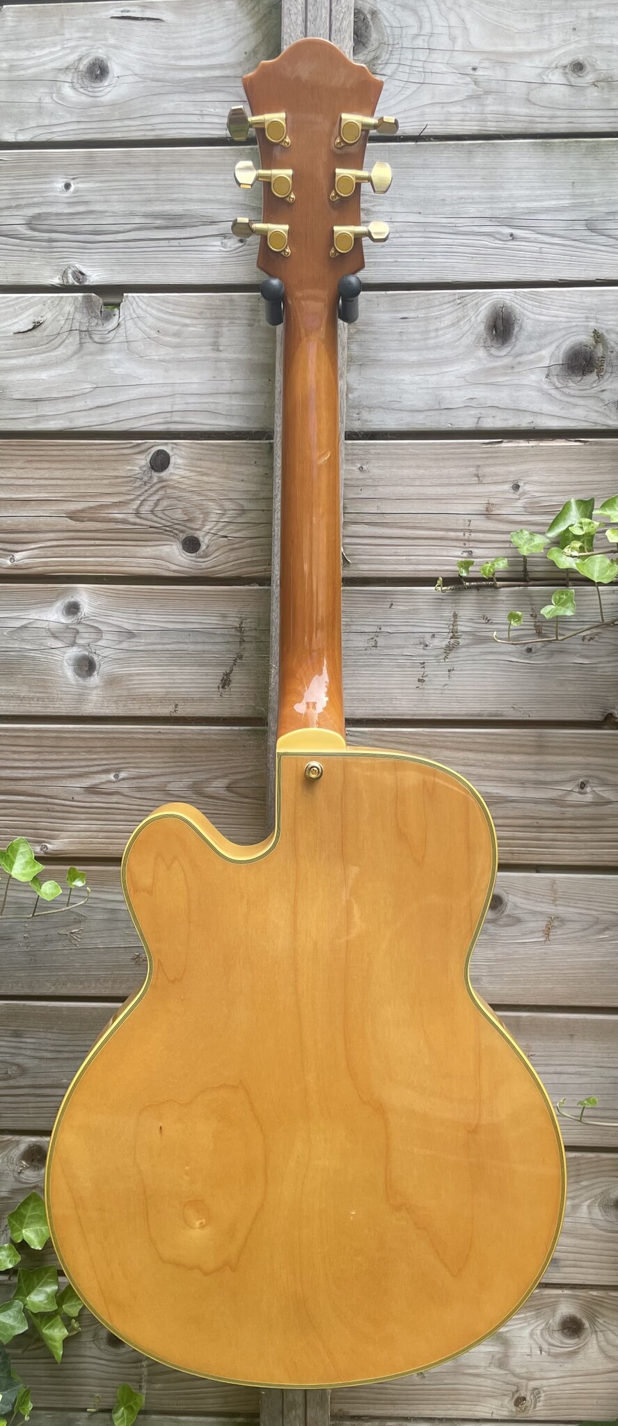 Ibanez Ibanez PM20 Pat Metheny Natural