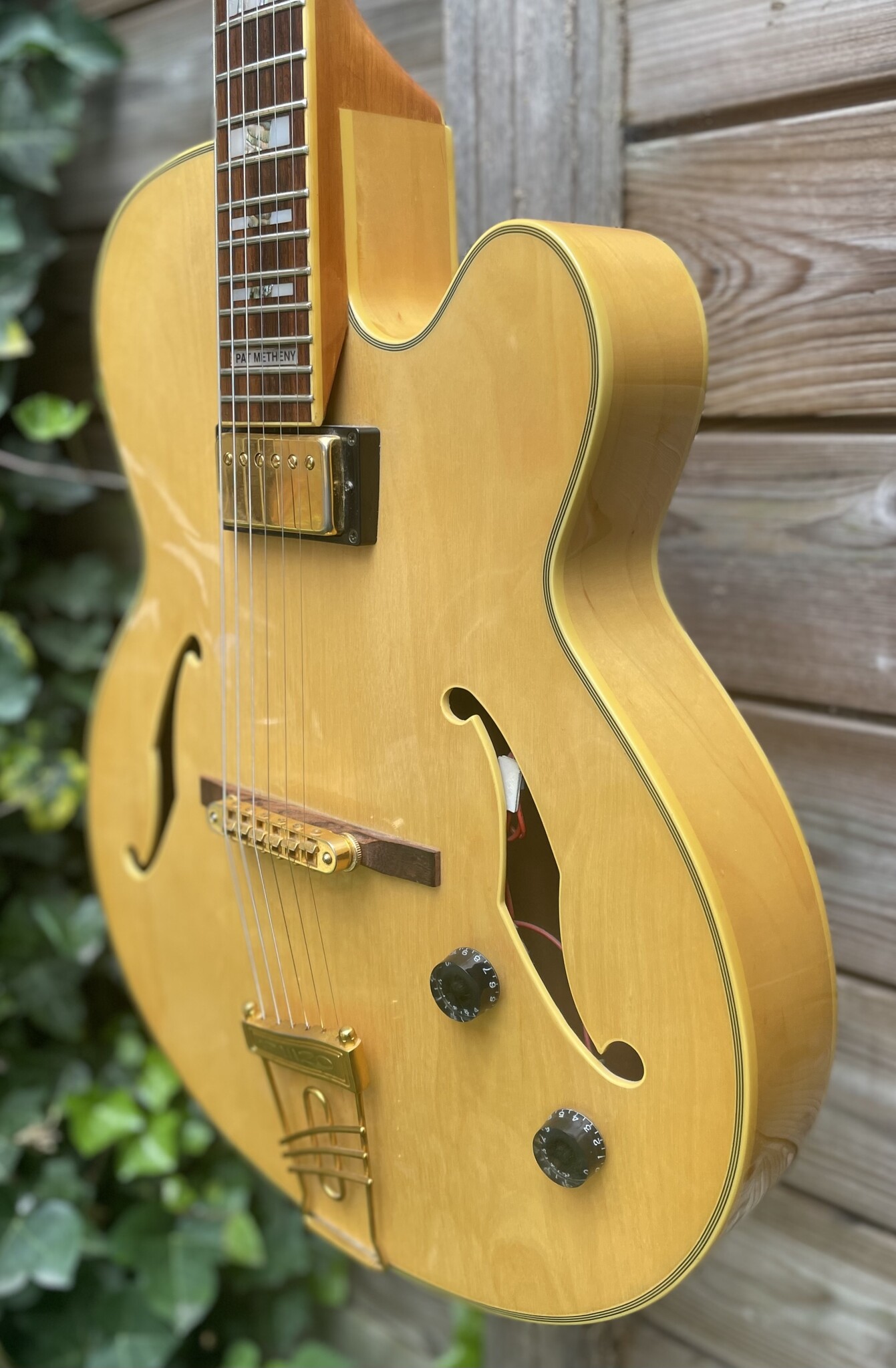 Ibanez Ibanez PM20 Pat Metheny Natural