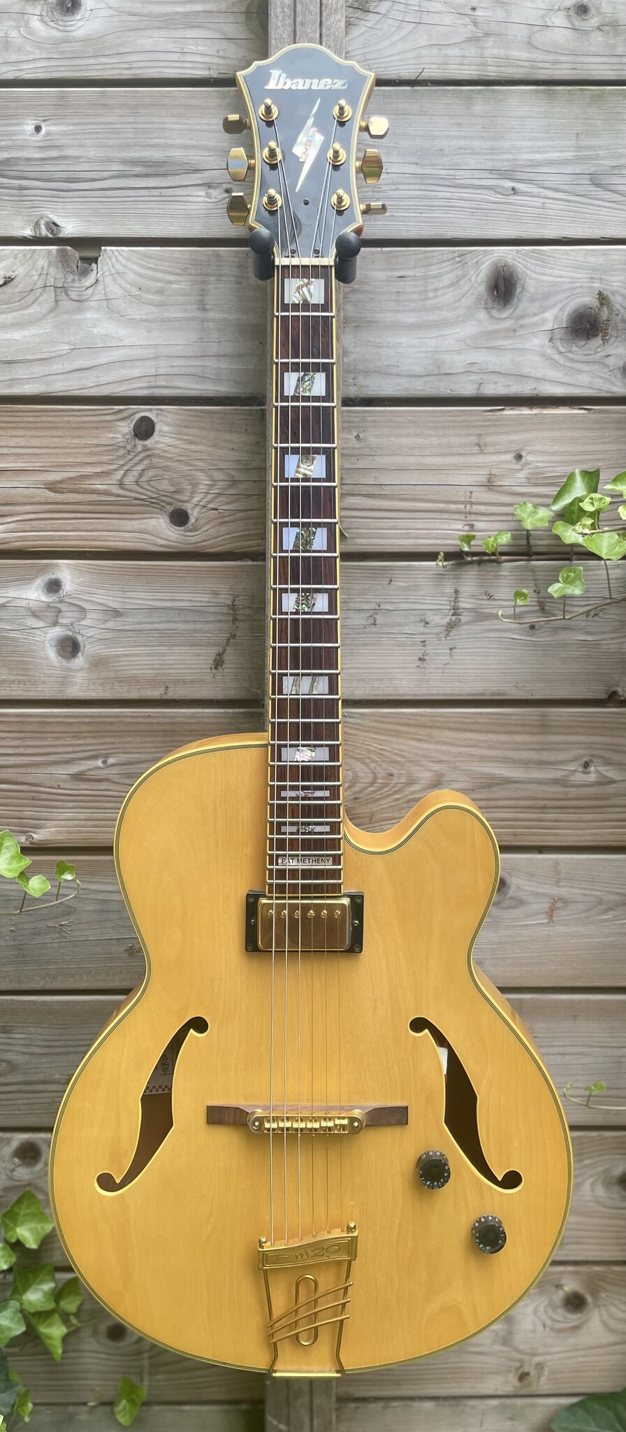 Ibanez Ibanez PM20 Pat Metheny Natural
