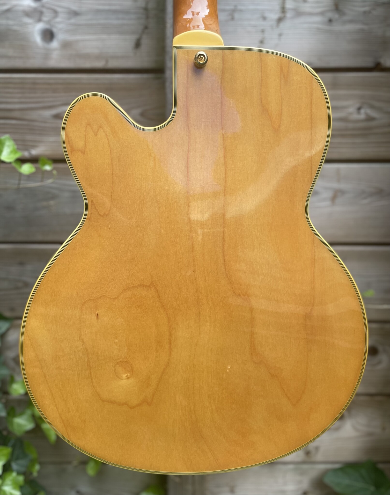 Ibanez Ibanez PM20 Pat Metheny Natural