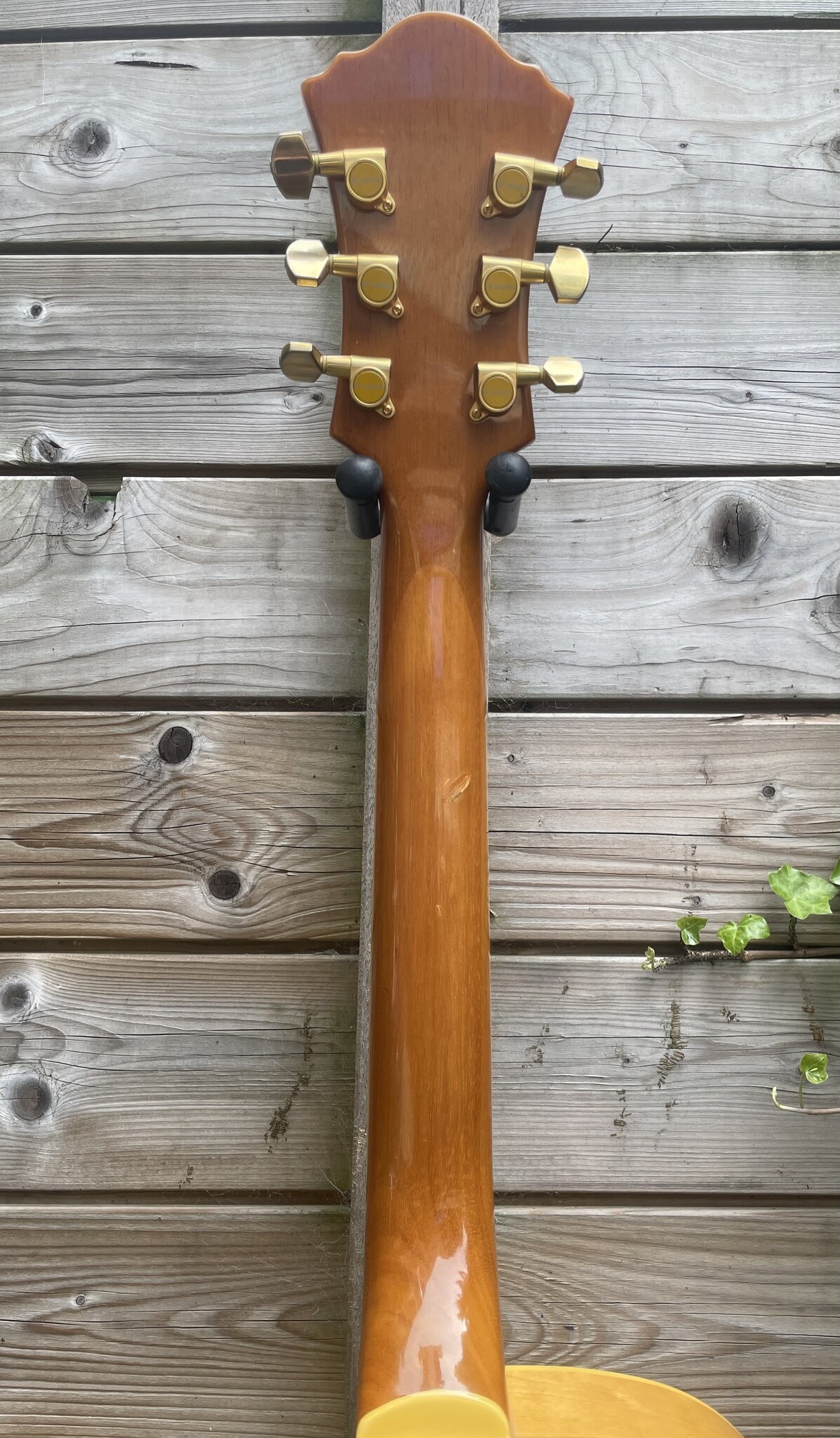 Ibanez Ibanez PM20 Pat Metheny Natural