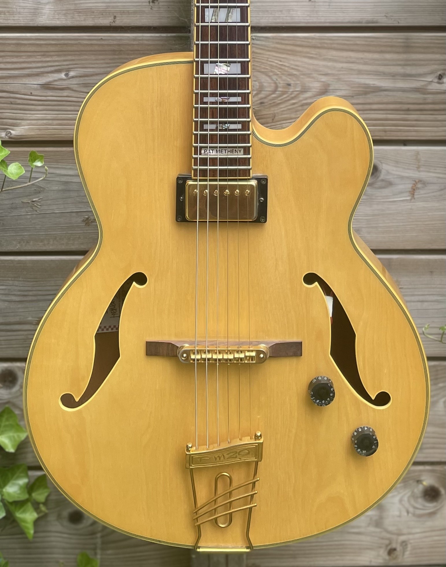 Ibanez Ibanez PM20 Pat Metheny Natural