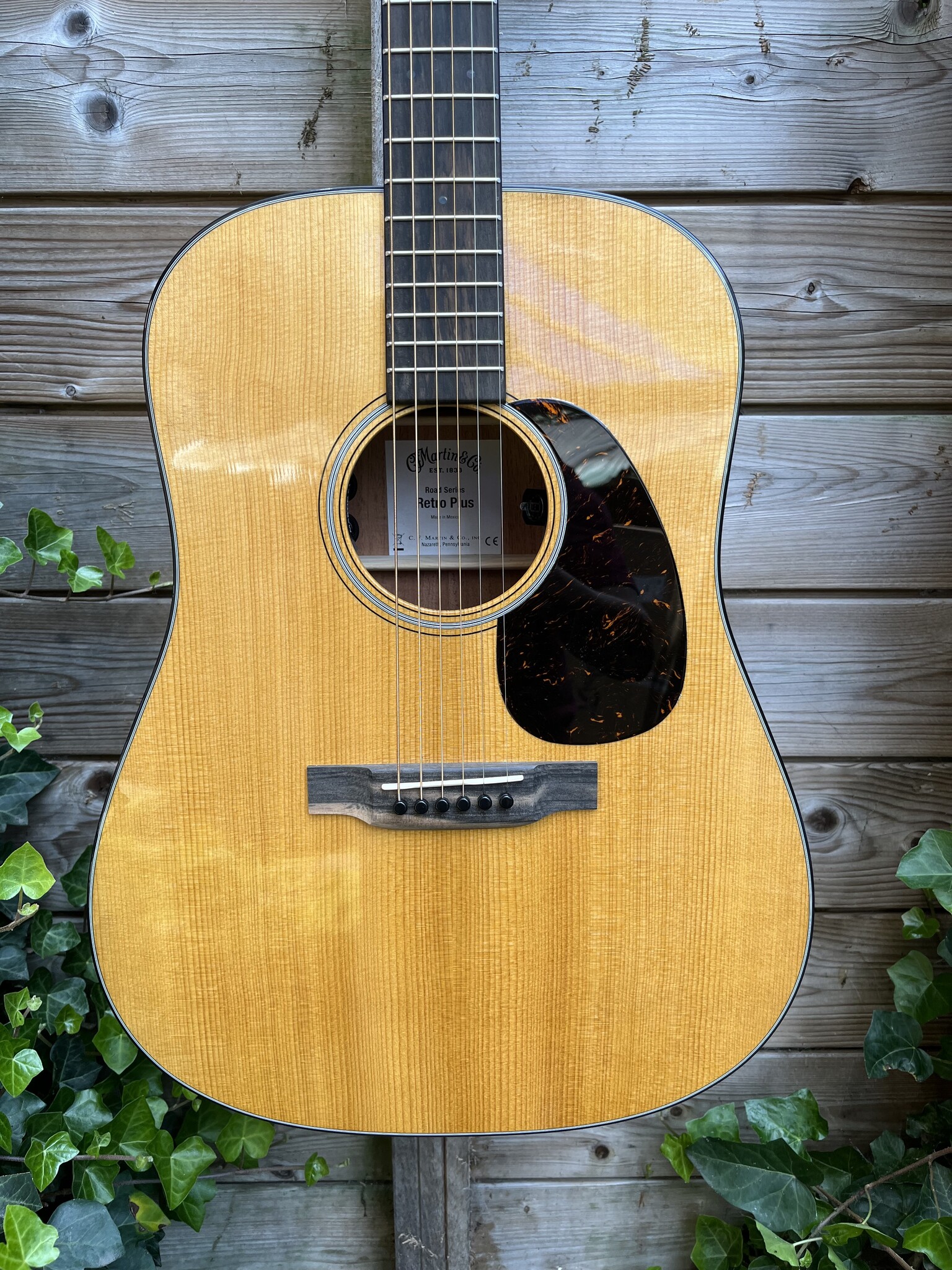 C. F. Martin & Co. Martin DE Retro Plus Road Series