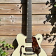 Gretsch Gretsch G6636T-RF Richard Fortus Signature Falcon