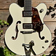 Gretsch Gretsch G6636T-RF Richard Fortus Signature Falcon