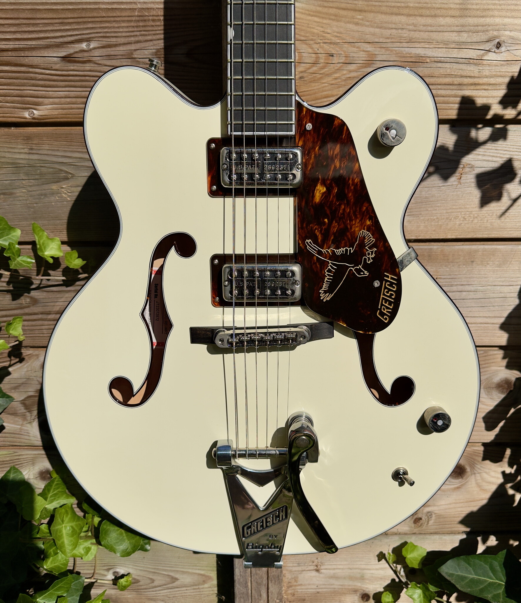 Gretsch Gretsch G6636T-RF Richard Fortus Signature Falcon