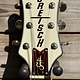 Gretsch Gretsch G6636T-RF Richard Fortus Signature Falcon