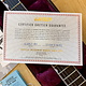 Gretsch Gretsch G6636T-RF Richard Fortus Signature Falcon