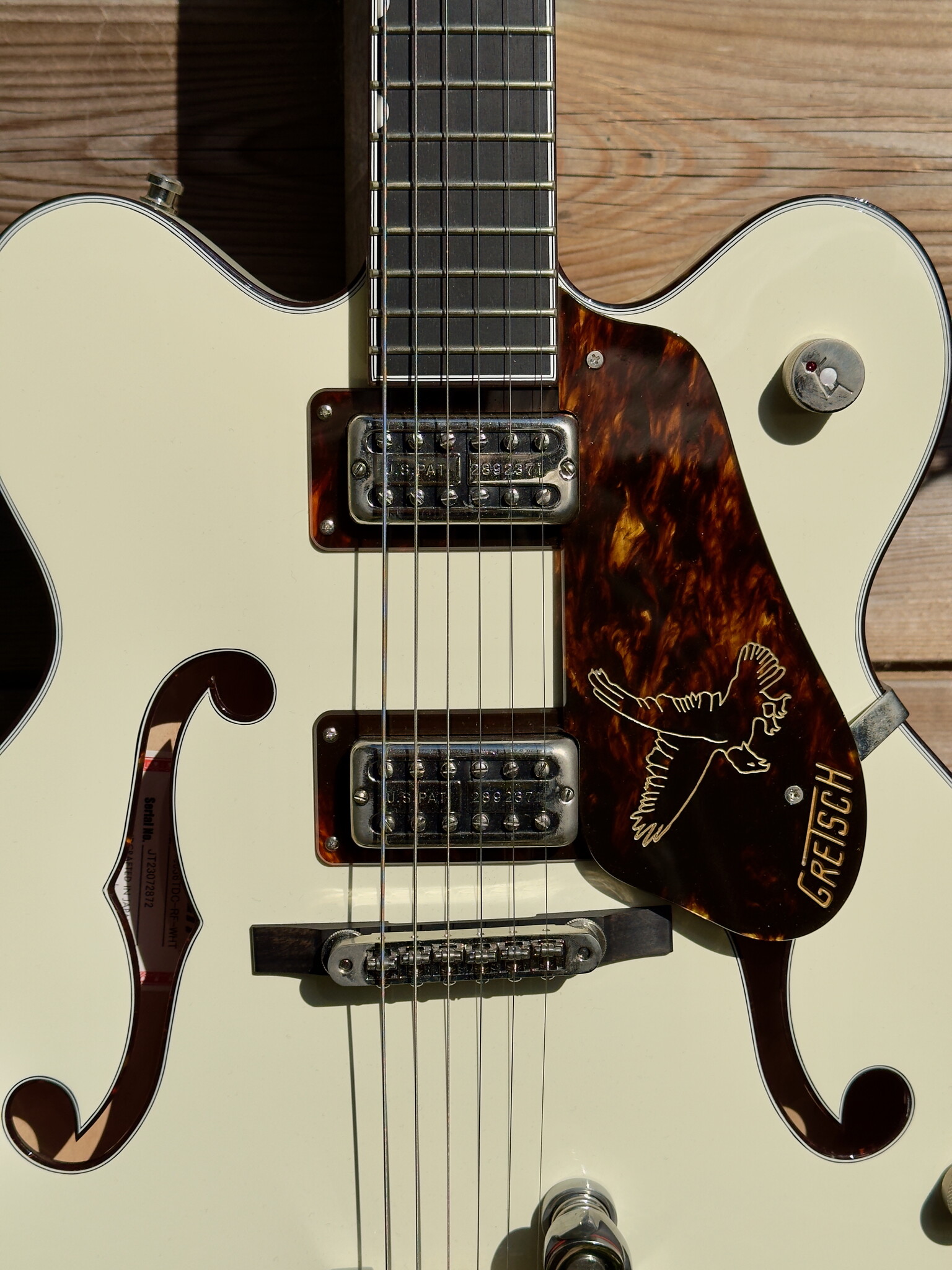 Gretsch Gretsch G6636T-RF Richard Fortus Signature Falcon