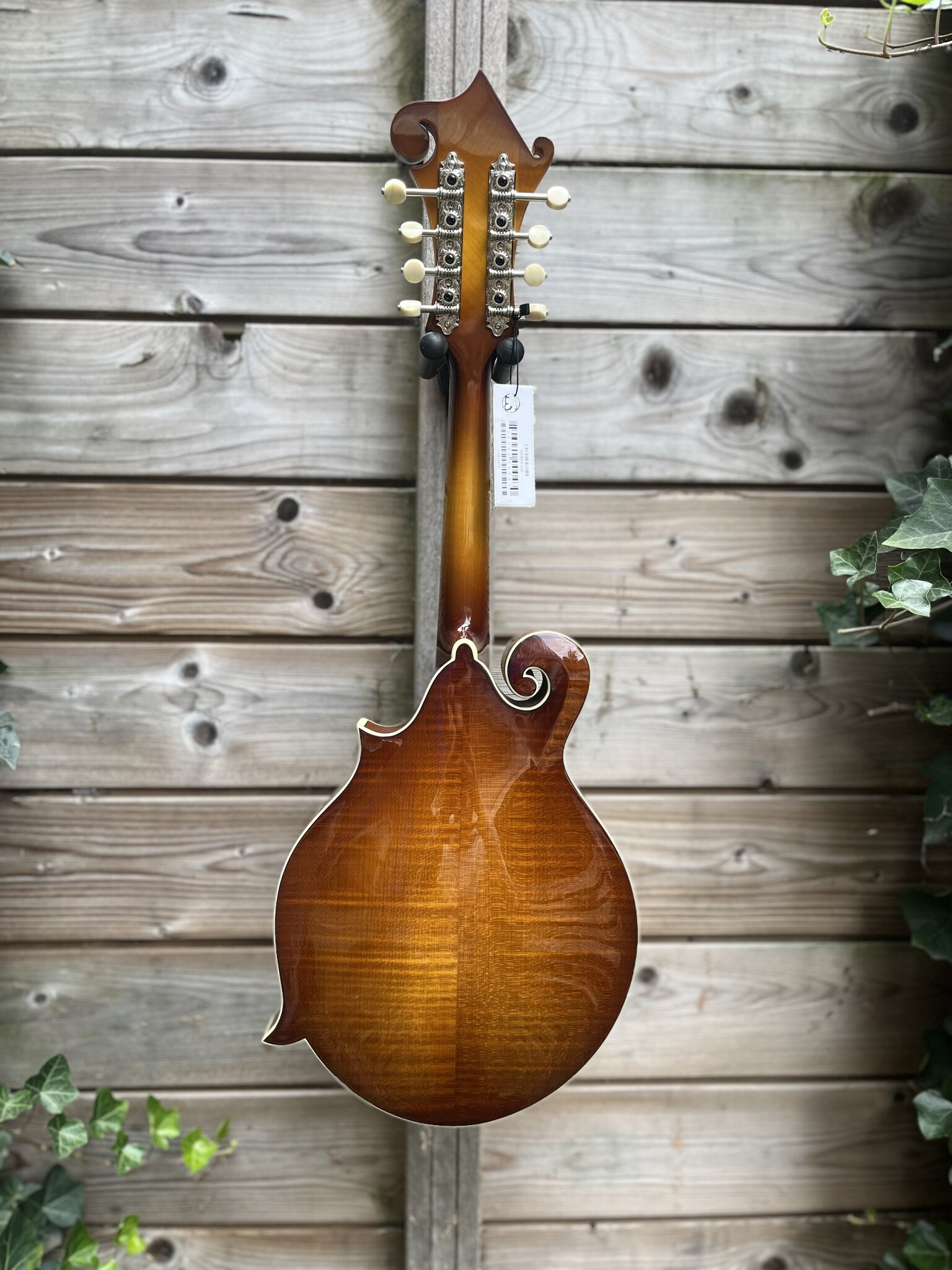 Eastman Eastman MD615 Goldburst F-Style Mandolin