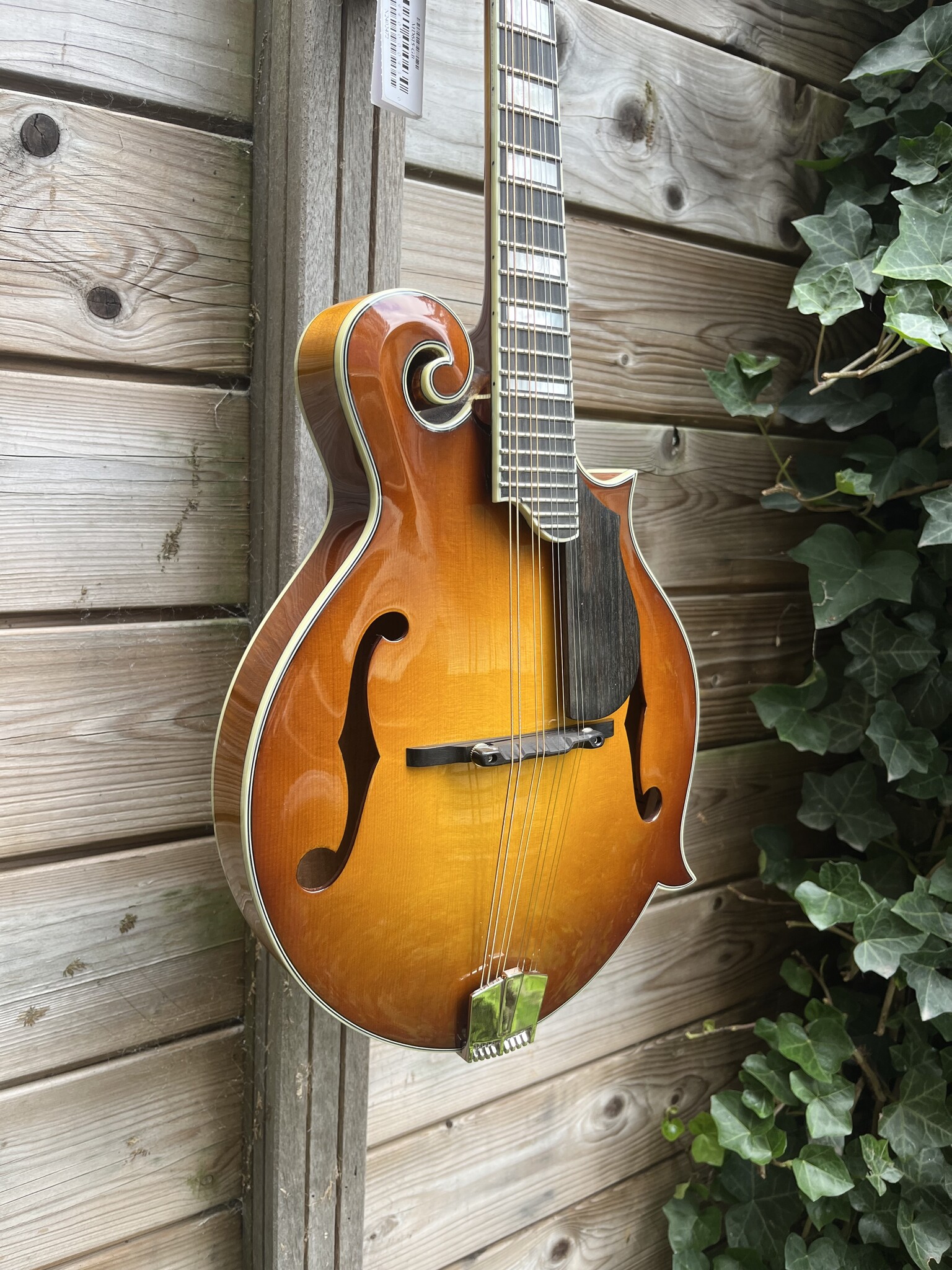 Eastman Eastman MD615 Goldburst F-Style Mandolin
