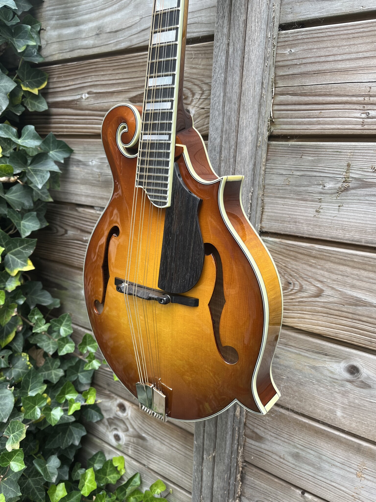 Eastman Eastman MD615 Goldburst F-Style Mandolin